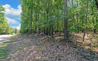 ACREAGE on the LAKE! Closest point of the Corp line is 39' from - photo 13