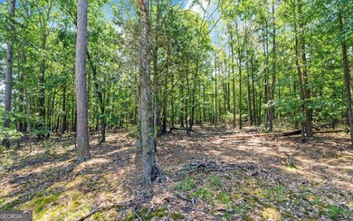 ACREAGE on the LAKE! Closest point of the Corp line is 39' from - photo 14