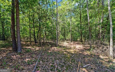 ACREAGE on the LAKE! Closest point of the Corp line is 39' from - photo 15