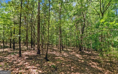 ACREAGE on the LAKE! Closest point of the Corp line is 39' from - photo 16
