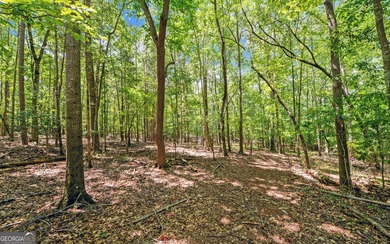 ACREAGE on the LAKE! Closest point of the Corp line is 39' from - photo 17