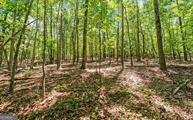 ACREAGE on the LAKE! Closest point of the Corp line is 39' from - photo 18