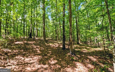 ACREAGE on the LAKE! Closest point of the Corp line is 39' from - photo 19