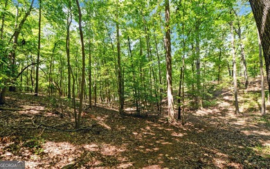 ACREAGE on the LAKE! Closest point of the Corp line is 39' from - photo 20