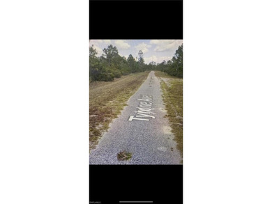 Lehigh Acres Area Lot For Sale in Lehigh Acres Florida