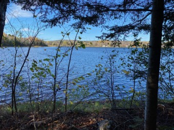 Spaulding Lake - Aroostook County Lot For Sale in Oakfield Maine