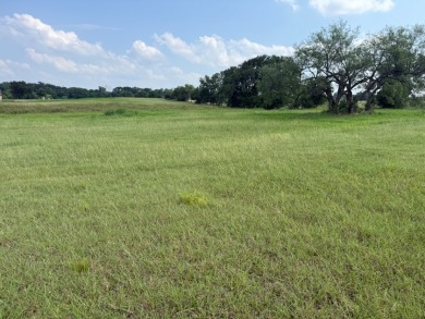 Spacious Off Water 1 Acre Lot at Richland Chambers Lake! - photo 11