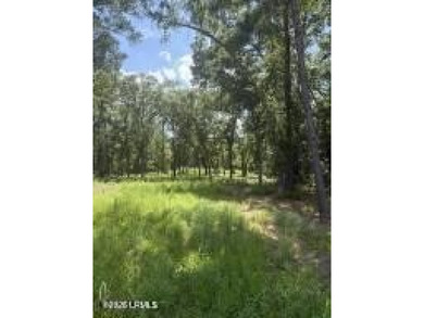 The stress-free with no restrictions vacant land is now - photo 11