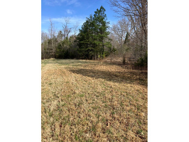 If you are looking for 2 acres on a quite Country road just - photo 4