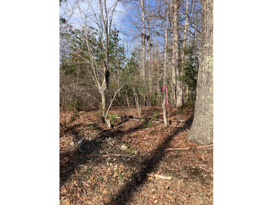 If you are looking for 2 acres on a quite Country road just - photo 6