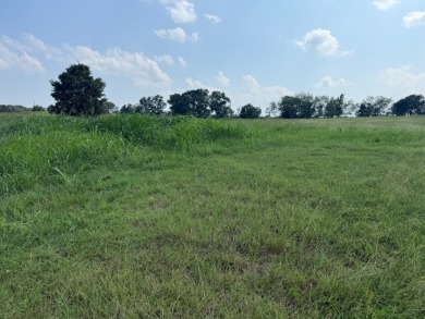 Spacious Off Water 1 Acre Lot at Richland Chambers Lake! - photo 9