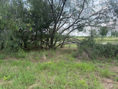 Spacious Off Water 1 Acre Lot at Richland Chambers Lake! - photo 17