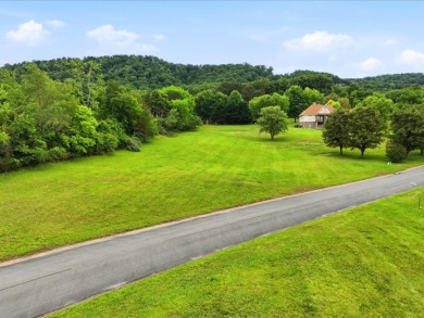 Cherokee Lake View Lot - photo 13