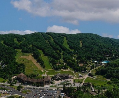 Stunning Pool & Ski Mountain Views!! This very rare Studio Plus - photo 11