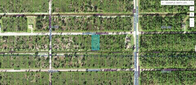 Lake Weohyakapka Lot For Sale in Indian Lake Estates Florida