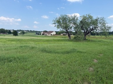 Spacious Off Water 1 Acre Lot at Richland Chambers Lake! - photo 26