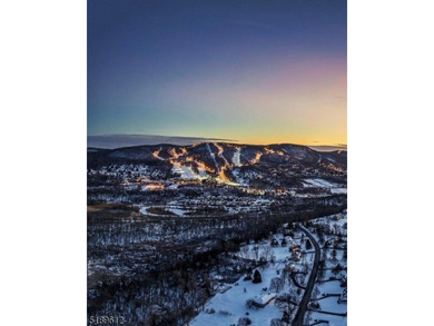 Stunning Pool & Ski Mountain Views!! This very rare Studio Plus - photo 13