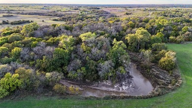 This 290 acre ranch is a beautiful slice of Texas countryside - photo 13