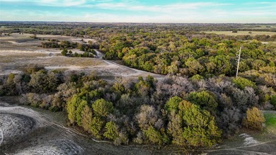 This 290 acre ranch is a beautiful slice of Texas countryside - photo 16
