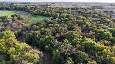 This 290 acre ranch is a beautiful slice of Texas countryside - photo 17