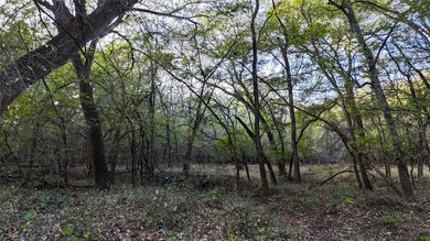 This 290 acre ranch is a beautiful slice of Texas countryside - photo 18