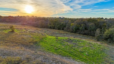 This 290 acre ranch is a beautiful slice of Texas countryside - photo 19
