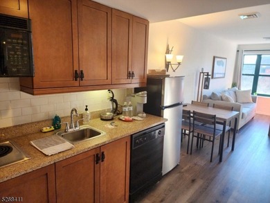 Stunning Pool & Ski Mountain Views!! This very rare Studio Plus - photo 20