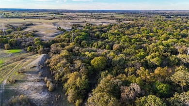This 290 acre ranch is a beautiful slice of Texas countryside - photo 20