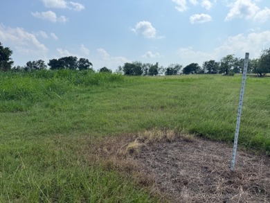 Spacious Off Water 1 Acre Lot at Richland Chambers Lake! - photo 30