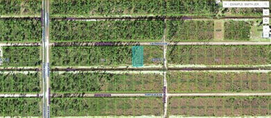 Lake Weohyakapka Lot For Sale in Indian Lake Estates Florida