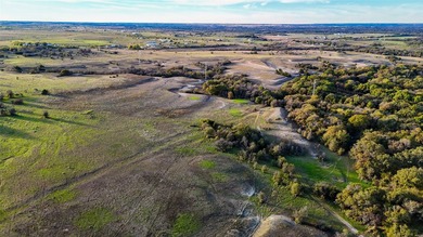 This 290 acre ranch is a beautiful slice of Texas countryside - photo 22