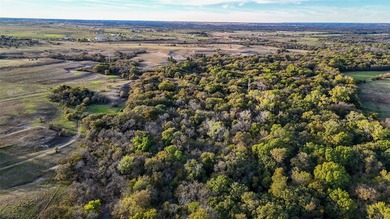 This 290 acre ranch is a beautiful slice of Texas countryside - photo 23