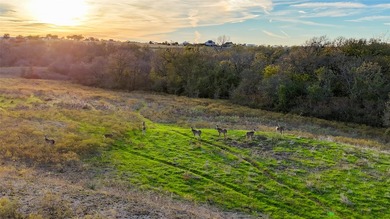 This 290 acre ranch is a beautiful slice of Texas countryside - photo 25