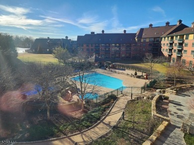 Stunning Pool & Ski Mountain Views!! This very rare Studio Plus - photo 28