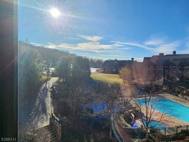 Stunning Pool & Ski Mountain Views!! This very rare Studio Plus - photo 29