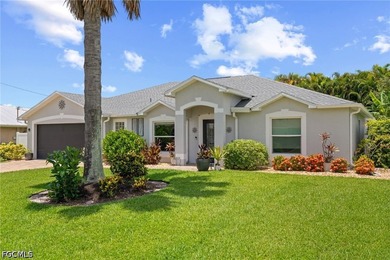 Welcome to 2914 SE 8th Ave in Cape Coral, a 3 bedroom plus a den - photo 30
