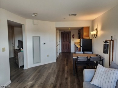 Stunning Pool & Ski Mountain Views!! This very rare Studio Plus - photo 34