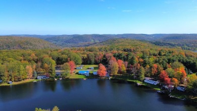 Mormon Lake Home Sale Pending in Gillett Pennsylvania