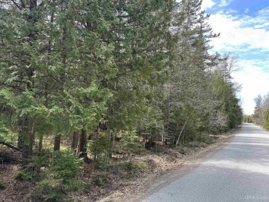 Lake Lot For Sale in Garden, Michigan