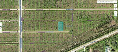 Lake Weohyakapka Lot For Sale in Indian Lake Estates Florida