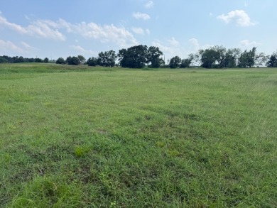 Spacious Off Water 1 Acre Lot at Richland Chambers Lake! - photo 8