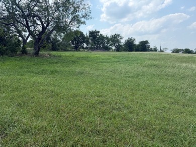 Spacious Off Water 1 Acre Lot at Richland Chambers Lake! - photo 38