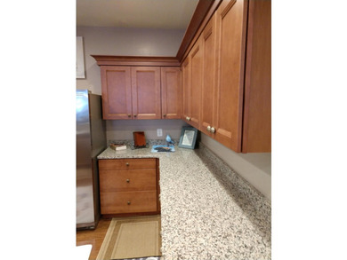 Ranch villa. Maintenance free living. Beautiful home move in - photo 17