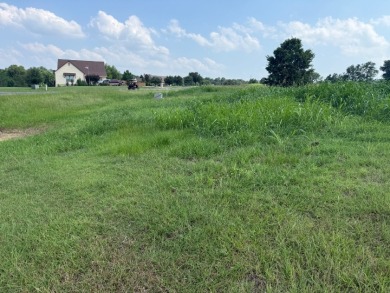 Spacious Off Water 1 Acre Lot at Richland Chambers Lake! - photo 7