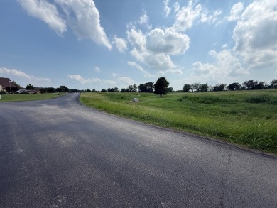 Spacious Off Water 1 Acre Lot at Richland Chambers Lake! - photo 4