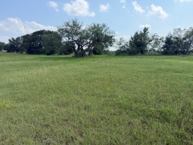 Spacious Off Water 1 Acre Lot at Richland Chambers Lake! - photo 29