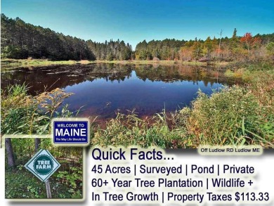 Lake Acreage For Sale in Ludlow, Maine