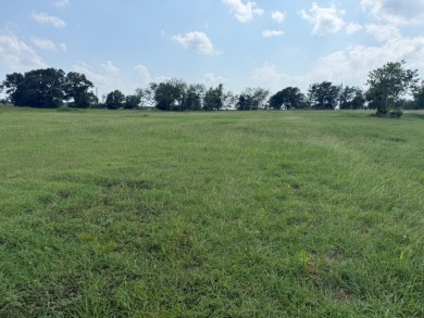 Spacious Off Water 1 Acre Lot at Richland Chambers Lake! - photo 40