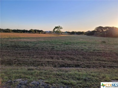 (private lake, pond, creek) Lot For Sale in Seadrift Texas
