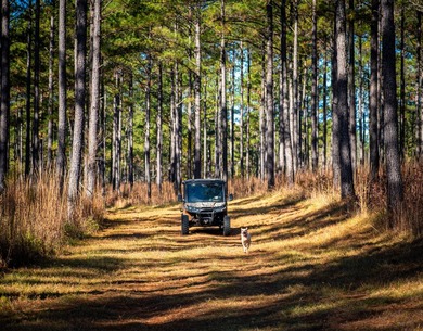 Located just minutes from historic Macon, Georgia, Buckelew Farm - photo 21